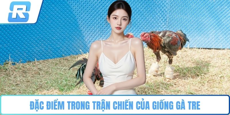 Đá gà tre Đặc điểm trong trận chiến của giống gà tre