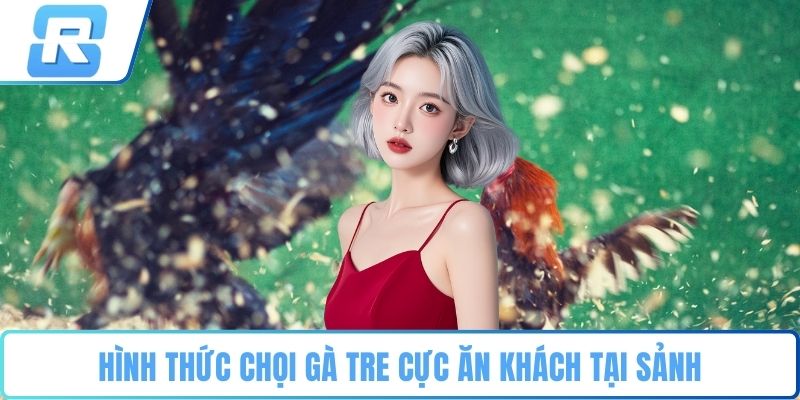 Đá gà RS8CASINO Hình thức chọi gà tre cực ăn khách tại sảnh