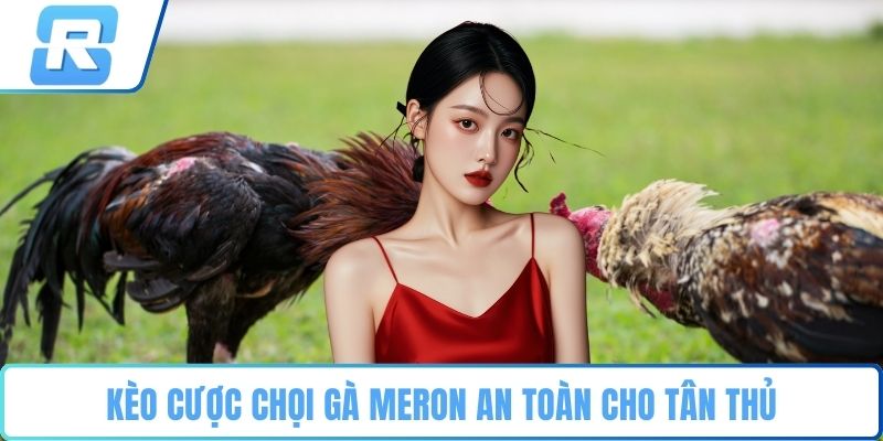 Kèo cược chọi gà Meron an toàn cho tân thủ