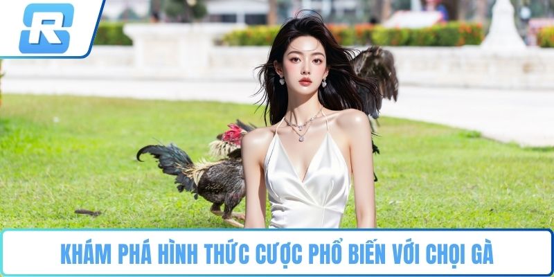 Khám phá hình thức cược phổ biến với chọi gà