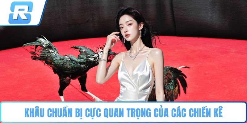 Khâu chuẩn bị cực quan trọng của các chiến kê