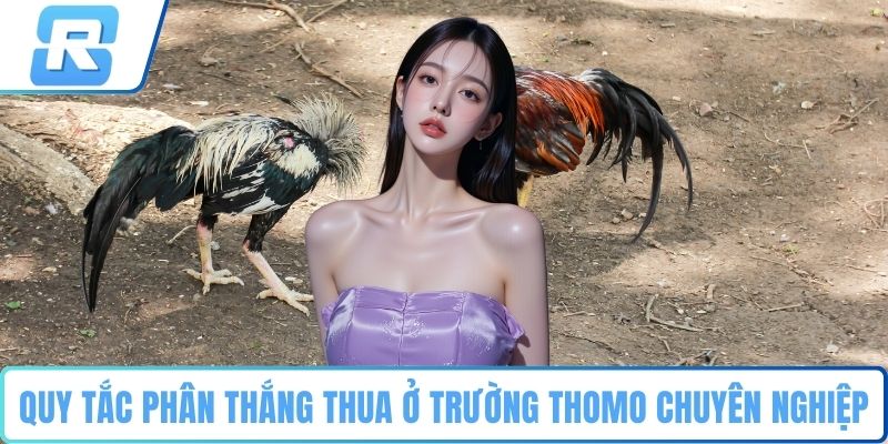 Quy tắc phân thắng thua ở trường Thomo chuyên nghiệp