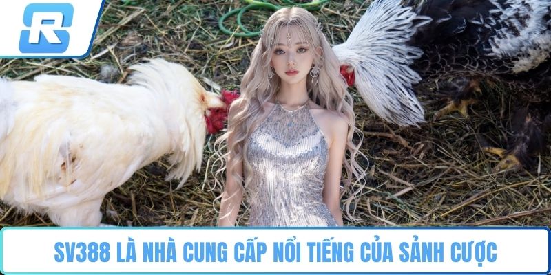 Đá gà RS8CASINO SV388 là nhà cung cấp nổi tiếng của sảnh cược